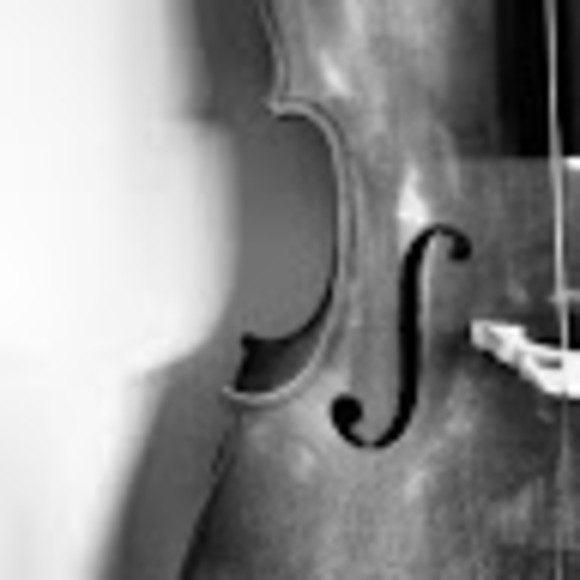 Meet your Posher, Lucy - Picture 1 of 1